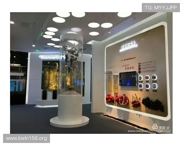 深入探索pa旗舰厅：揭秘其卓越服务与前沿科技的完美结合